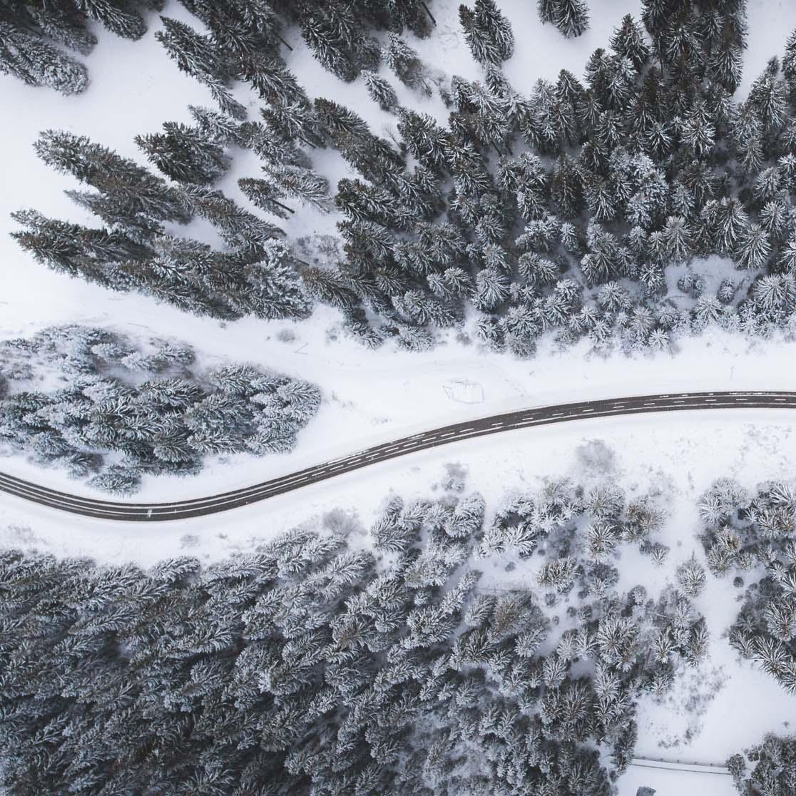 Bird eye’s view!, by Kimon Maritz